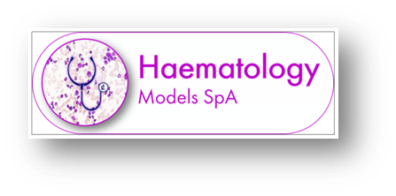 Haematology Models SpA – Chile